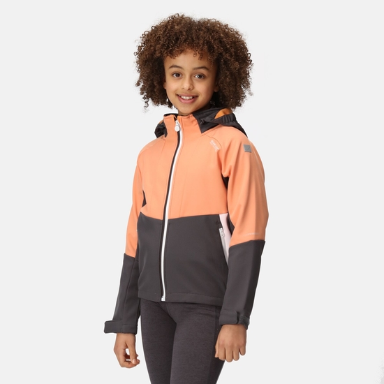 Kids' Haydenbury Softshell Jacket Seal Grey Apricot Crush