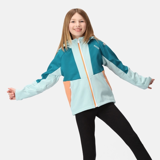 Haydenbury Enfant Veste softshell Bleu