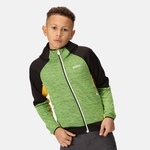 Jasmine Green Black
