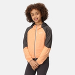 Apricot Crush Seal Grey