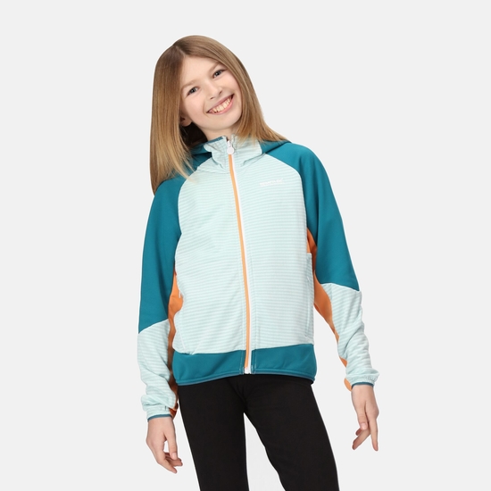 Prenton II Enfant Veste softshell Bleu