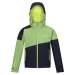 Piquant Green Navy