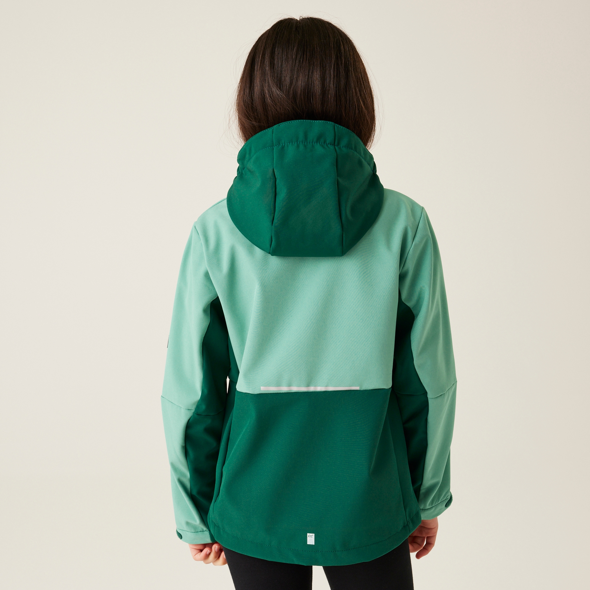 Regatta Dziecięcy softshell Haydenbury II Zielony