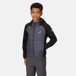 Seal Grey Black 