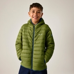 Golden Cypress Aviator Blue