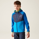 Olympian Blue Navy