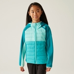 Turquoise Aruba Blue Exotic Plume