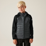 Black Seal Grey