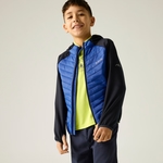 Navy Olympian Blue 