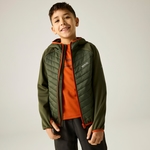 Dark Khaki 