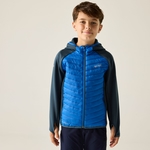 Night Sky Olympian Blue 