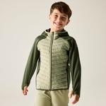 Dark Khaki Light Sage 