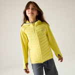 Canary Yellow