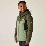 Olive Green