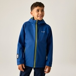 Aviator Blue Golden Cypress 