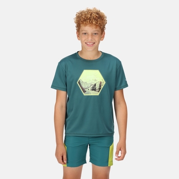 Alvarado VI Enfant T-shirt Vert