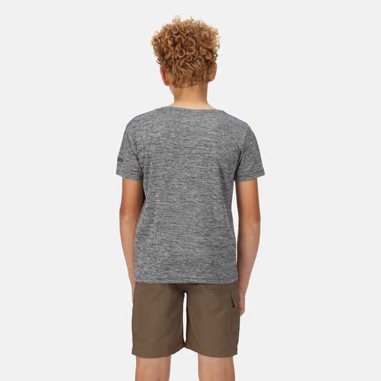 Fingal V Graphic Active T-Shirt für Kinder Grau