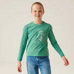 Dusty Green Flower Mountain