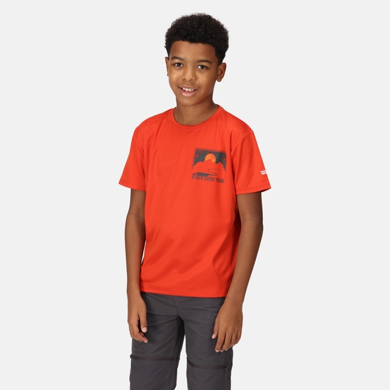 Alvarado VII T-Shirt mit Graphik-Print für Kinder Orange