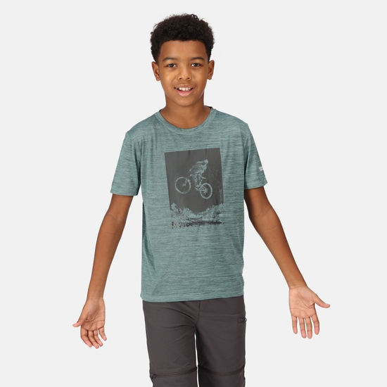 Kids' Alvarado VII Graphic T-Shirt Ivy Moss Marl 