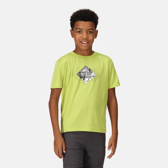 Alvarado VII T-Shirt mit Graphik-Print für Kinder Grün