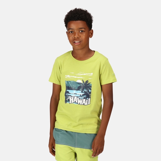 Bosley VI T-Shirt mit Graphik-Print für Kinder Grün