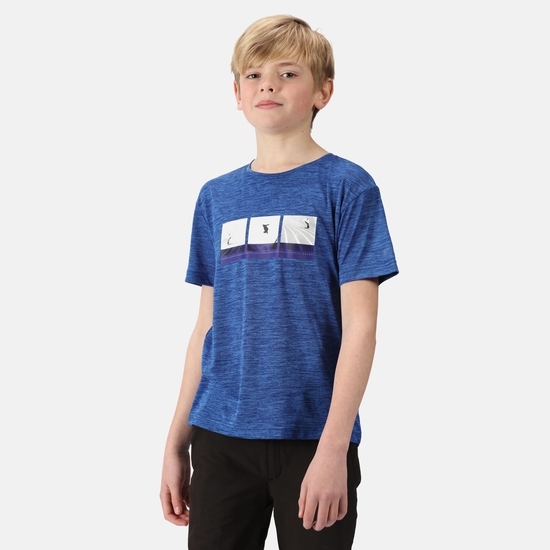 Findley Enfant T-shirt à imprimé graphique Bleu