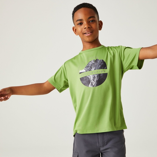 Alvarado VIII T-Shirt mit Grafikprint für Kinder Grün