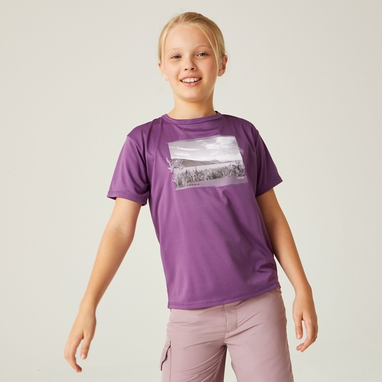 Kids' Alvardo VIII Graphic T-Shirt Sunset Purple