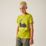 Grenoble Green