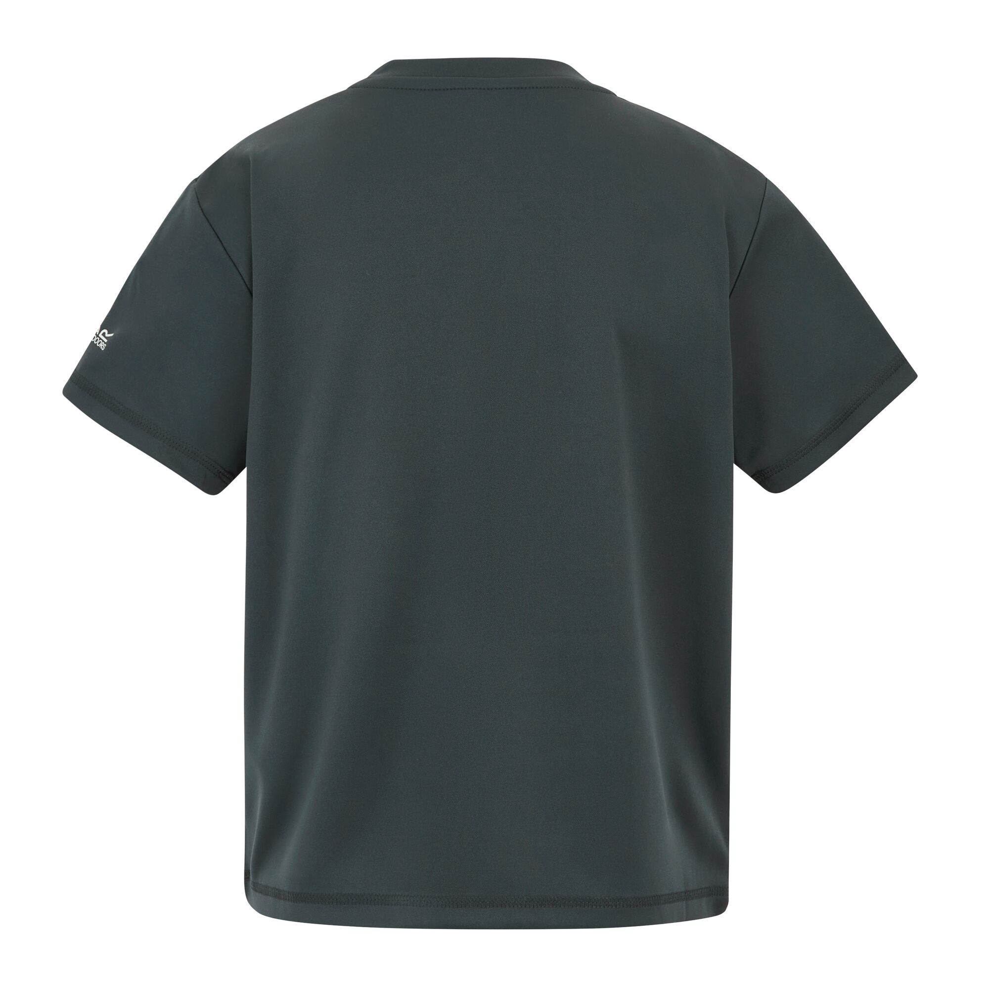 Regatta   Koszulka dziecięca Alvarado Szary