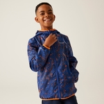 New Royal Scratch Print