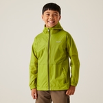 Grenoble Green