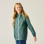 Verde Ivy Moss