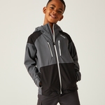 Seal Grey Black