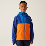 Oxford Blue New Royal Persimmon