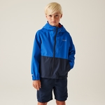 Olympian Blue Navy Tangerine Tango