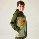 Khaki Wood Brown Sage 