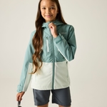 Ivy Moss Ocean Mist 