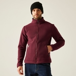 Dark Maroon