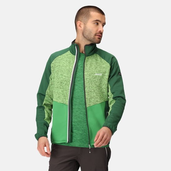 Men's Coladane V Full-Zip Fleece Jasmine Green Field Green