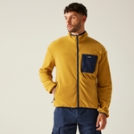 Mustard Navy
