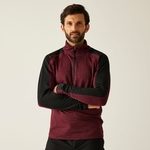 Dark Maroon
