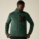Dark Forest Green 
