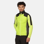 Bright Kiwi Black