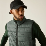 Dark Forest Green 