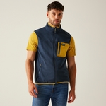 Navy Mustard