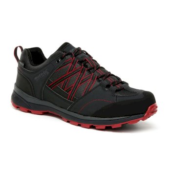 PETER STORM Chaussures De Marche L/ég/ères Arnside Vent pour Hommes