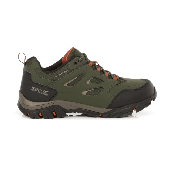 Men's Holcombe Waterproof Low Walking Shoes Bayleaf Burnt Umber 