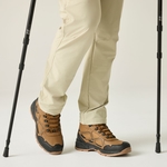 Saddle Brown